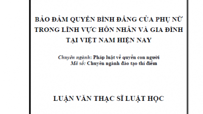 LUẬN VĂN THẠC SĨ: BẢO ĐẢM QUYỀN BÌNH ĐẲNG CỦA PHỤ NỮ TRONG LĨNH VỰC HÔN NHÂN VÀ GIA ĐÌNH TẠI VIỆT NAM HIỆN NAY
