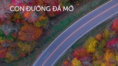 EVFTA CON ĐƯỜNG ĐÃ MỞ