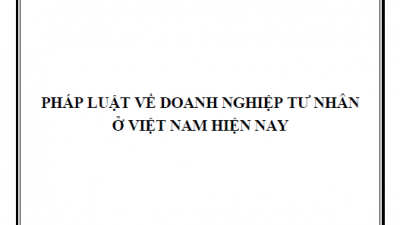 LUẬN VĂN THẠC SĨ: PHÁP LUẬT VỀ DOANH NGHIỆP TƯ NHÂN Ở VIỆT NAM HIỆN NAY