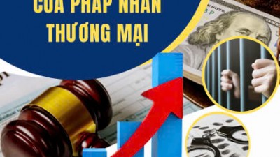 TỔNG HỢP 23 BÀI BÁO PHÁP LÝ VỀ TRÁCH NHIỆM HÌNH SỰ CỦA PHÁP NHÂN THƯƠNG MẠI