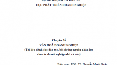 CHUYÊN ĐỀ VĂN HOÁ DOANH NGHIỆP (PGS. TS. NGUYỄN MẠNH QUÂN)