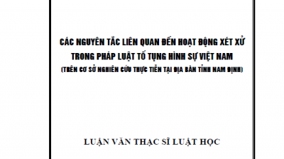 LUẬN VĂN THẠC SĨ: CÁC NGUYÊN TẮC LIÊN QUAN ĐẾN HOẠT ĐỘNG XÉT XỬ TRONG PHÁP LUẬT TỐ TỤNG HÌNH SỰ VIỆT NAM (TRÊN CƠ SỞ NGHIÊN CỨU THỰC TIỄN TẠI ĐỊA BÀN TỈNH NAM ĐỊNH)