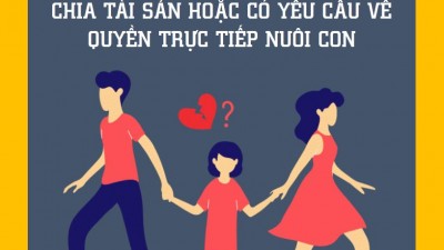 TỔNG HỢP 20 BẢN ÁN LY HÔN CÓ YẾU TỐ NƯỚC NGOÀI CÓ YÊU CẦU CHIA TÀI SẢN HOẶC CÓ YÊU CẦU VỀ QUYỀN TRỰC TIẾP NUÔI CON