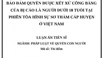 LUẬN ÁN TIẾN SĨ: BẢO ĐẢM QUYỀN ĐƯỢC XÉT XỬ CÔNG BẰNG CỦA BỊ CÁO LÀ NGƯỜI DƯỚI 18 TUỔI TẠI PHIÊN TÒA HÌNH SỰ SƠ THẨM CẤP HUYỆN Ở VIỆT NAM