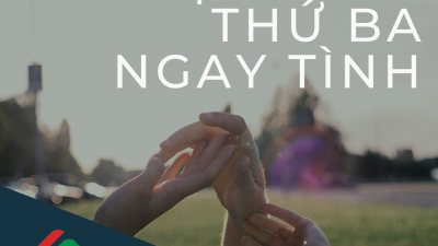 TỔNG HỢP 20 BẢN ÁN BẢO VỆ NGƯỜI THỨ BA NGAY TÌNH