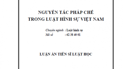 LUẬN ÁN TIẾN SĨ: NGUYÊN TẮC PHÁP CHẾ TRONG LUẬT HÌNH SỰ VIỆT NAM