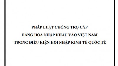 LUẬN ÁN TIẾN SĨ: PHÁP LUẬT VỀ CHỐNG TRỢ CẤP HÀNG HÓA NHẬP KHẨU VÀO VIỆT NAM TRONG ĐIỀU KIỆN HỘI NHẬP KINH TẾ QUỐC TẾ 