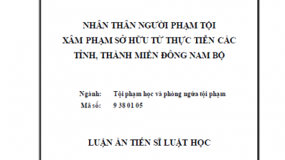 LUẬN ÁN TIẾN SĨ: NHÂN THÂN NGƯỜI PHẠM TỘI XÂM PHẠM SỞ HỮU TỪ THỰC TIỄN CÁC TỈNH, THÀNH MIỀN ĐÔNG NAM BỘ