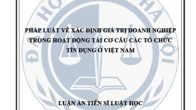 LUẬN ÁN TIẾN SĨ: PHÁP LUẬT VỀ XÁC ĐỊNH GIÁ TRỊ DOANH NGHIỆP TRONG HOẠT ĐỘNG TÁI CƠ CẤU CÁC TỔ CHỨC TÍN DỤNG Ở VIỆT NAM