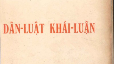 DÂN LUẬT VÀ KHÁI LUẬT (TÁC GIẢ: VŨ VĂN MẪU)