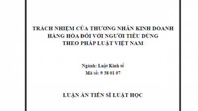 LUẬN ÁN TIẾN SĨ: TRÁCH NHIỆM CỦA THƯƠNG NHÂN KINH DOANH HÀNG HÓA ĐỐI VỚI NGƯỜI TIÊU DÙNG THEO PHÁP LUẬT VIỆT NAM