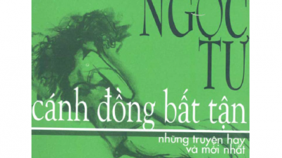 SÁCH CÁNH ĐỒNG BẤT TẬN (TÁC GIẢ: NGUYỄN NGỌC TƯ)