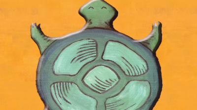 Sách Trí tuệ loài rùa (Tác giả: Donna DeNomme)