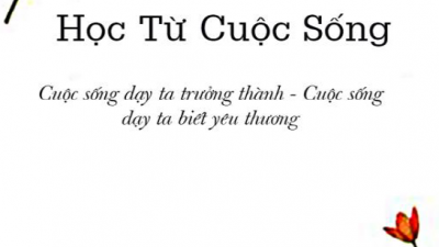 SÁCH HỌC TỪ CUỘC SỐNG (TÁC GIẢ: HỮU HƯNG)