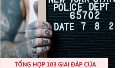 TỔNG HỢP 103 GIẢI ĐÁP CỦA TAND TỐI CAO TRONG LĨNH VỰC HÌNH SỰ - TỐ TỤNG HÌNH SỰ TỪ NĂM 1999 ĐẾN HẾT NĂM 2021