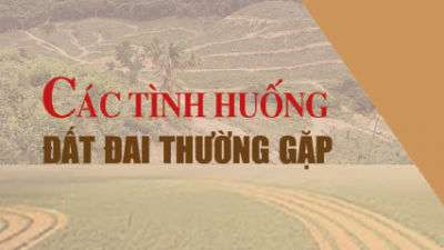 SÁCH CÁC TÌNH HUỐNG ĐẤT ĐAI THƯỜNG GẶP (TÁC GIẢ: PHAN PHƯƠNG NAM - NGÔ GIA HOÀNG - NGUYỄN ĐÌNH THÁI)