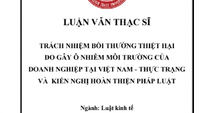 Luận văn Thạc sĩ: Trách nhiệm bồi thường thiệt hại do gây ô nhiễm môi trường của doanh nghiệp tại Việt Nam - Thực trạng và kiến nghị hoàn thiện pháp luật