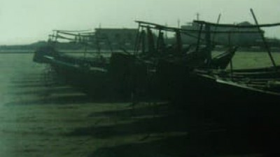 SÁCH TỔ QUỐC ĂN NĂN (TÁC GIẢ: NGUYỄN GIA KIỂNG)