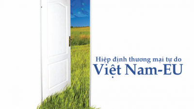 DOANH NGHIỆP VÀ CHÍNH SÁCH THƯƠNG MẠI QUỐC TẾ: HIỆP ĐỊNH THƯƠNG MẠI TỰ DO VIỆT NAM - EU 