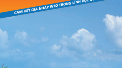 CAM KẾT GIA NHẬP WTO TRONG LĨNH VỰC DỊCH VỤ