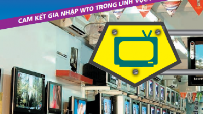 CAM KẾT WTO VỀ ĐIỆN TỬ