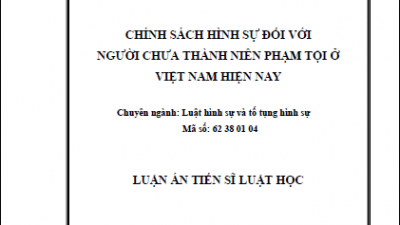 LUẬN ÁN TIẾN SĨ: CHÍNH SÁCH HÌNH SỰ ĐỐI VỚI NGƯỜI CHƯA THÀNH NIÊN PHẠM TỘI Ở VIỆT NAM HIỆN NAY (TÁC GIẢ: HOÀNG MINH ĐỨC)