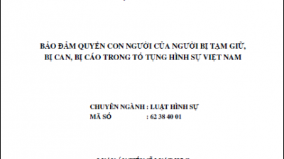 LUẬN ÁN TIẾN SĨ: BẢO ĐẢM QUYỀN CON NGƯỜI CỦA NGƯỜI BỊ TẠM GIỮ, BỊ CAN, BỊ CÁO TRONG TỐ TỤNG HÌNH SỰ VIỆT NAM (TÁC GIẢ: LẠI VĂN TRÌNH)