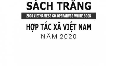 SÁCH TRẮNG HỢP TÁC XÃ VIỆT NAM NĂM 2020