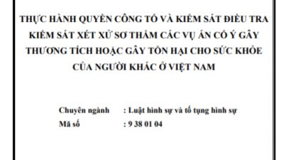 LUẬN ÁN TIẾN SĨ: THỰC HÀNH QUYỀN CÔNG TỐ VÀ KIỂM SÁT ĐIỀU TRA KIỂM SÁT XÉT XỬ SƠ THẨM CÁC VỤ ÁN CỐ Ý GÂY THƯƠNG TÍCH HOẶC GÂY TỔN HẠI CHO SỨC KHỎE CỦA NGƯỜI KHÁC Ở VIỆT NAM