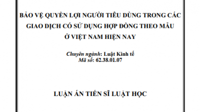 LUẬN ÁN TIẾN SĨ: BẢO VỆ QUYỀN LỢI NGƯỜI TIÊU DÙNG TRONG CÁC GIAO DỊCH CÓ SỬ DỤNG HỢP ĐỒNG THEO MẪU Ở VIỆT NAM HIỆN NAY