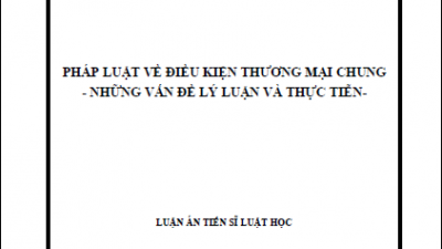 LUẬN ÁN TIẾN SĨ: PHÁP LUẬT VỀ ĐIỀU KIỆN THƯƠNG MẠI CHUNG - NHỮNG VẤN ĐỀ LÝ LUẬN VÀ THỰC TIỄN (TÁC GIẢ: NGUYỄN THỊ HẰNG NGA)