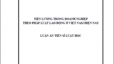 LUẬN ÁN TIẾN SĨ: TIỀN LƯƠNG TRONG DOANH NGHIỆP THEO PHÁP LUẬT LAO ĐỘNG Ở VIỆT NAM HIỆN NAY (TÁC GIẢ: PHẠM THỊ LIÊN NGỌC)