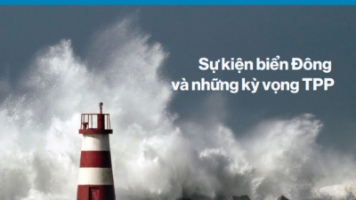 DOANH NGHIỆP VÀ CHÍNH SÁCH THƯƠNG MẠI QUỐC TẾ: SỰ KIỆN BIỂN ĐÔNG VÀ NHỮNG KỲ VỌNG TPP
