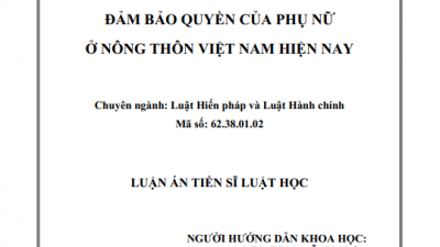 LUẬN ÁN TIẾN SĨ: ĐẢM BẢO QUYỀN CỦA PHỤ NỮ Ở NÔNG THÔN VIỆT NAM HIỆN NAY