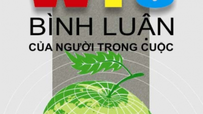 CAM KẾT VỀ DỊCH VỤ KHI GIA NHẬP WTO BÌNH LUẬN CỦA NGƯỜI TRONG CUỘC