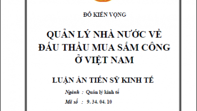 LUẬN ÁN TIẾN SĨ: QUẢN LÝ NHÀ NƯỚC VỀ ĐẤU THẦU MUA SẮM CÔNG Ở VIỆT NAM (TÁC GIẢ: ĐỖ KIẾN VỌNG)