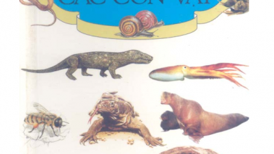 SÁCH THỊ TRƯỜNG NGOẠI HỐI (TÁC GIẢ: ED PONSI)