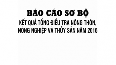 LUẬN VĂN THẠC SĨ LUẬT HỌC: BẢO VỆ, THÚC ĐẨY QUYỀN CỦA NGƯỜI CAO TUỔI TRÊN THẾ GIỚI VÀ TẠI VIỆT NAM (TÁC GIẢ: NGUYỄN BÍCH NGỌC)