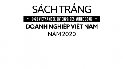 SÁCH TRẮNG - DOANH NGHIỆP VIỆT NAM NĂM 2020