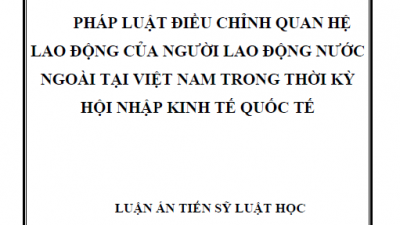 LUẬN ÁN TIẾN SĨ: PHÁP LUẬT ĐIỀU CHỈNH QUAN HỆ LAO ĐỘNG CỦA NGƯỜI LAO ĐỘNG NƯỚC NGOÀI TẠI VIỆT NAM TRONG THỜI KỲ HỘI NHẬP KINH TẾ QUỐC TẾ 