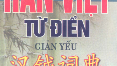 SÁCH HÁN VIỆT TỪ ĐIỂN GIẢN YẾU (TÁC GIẢ: ĐÀO DUY ANH)