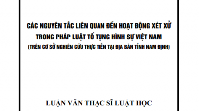 LUẬN VĂN THẠC SĨ: CÁC NGUYÊN TẮC LIÊN QUAN ĐẾN HOẠT ĐỘNG XÉT XỬ TRONG PHÁP LUẬT TỐ TỤNG HÌNH SỰ VIỆT NAM (TRÊN CƠ SỞ NGHIÊN CỨU THỰC TIỄN TẠI ĐỊA BÀN TỈNH NAM ĐỊNH) (TÁC GIẢ: LƯƠNG THỊ KIM HUẾ)