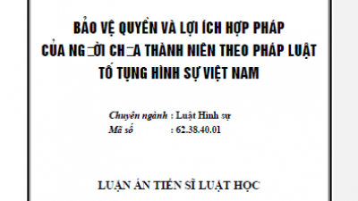 LUẬN ÁN TIẾN SĨ: BẢO VỆ QUYỀN VÀ LỢI ÍCH HỢP PHÁP CỦA NGƯỜI CHƯA THÀNH NIÊN THEO PHÁP LUẬT TỐ TỤNG HÌNH SỰ VIỆT NAM