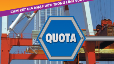 CAM KẾT WTO VỀ HẠN CHẾ SỐ LƯỢNG XUẤT, NHẬP KHẨU