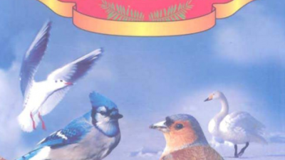 TỪ ĐIỂN TRANH VỀ CÁC LOÀI CHIM