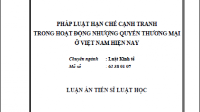 LUẬN ÁN TIẾN SĨ: PHÁP LUẬT HẠN CHẾ CẠNH TRANH TRONG HOẠT ĐỘNG NHƯỢNG QUYỀN THƯƠNG MẠI Ở VIỆT NAM HIỆN NAY (TÁC GIẢ: NGUYỄN THỊ TÌNH)