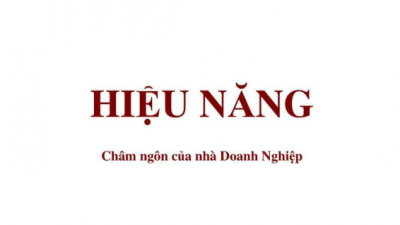 SÁCH HIỆU NĂNG CHÂM NGÔN CỦA NHÀ DOANH NGHIỆP (TÁC GIẢ: NGUYỄN HIỂN LÊ)