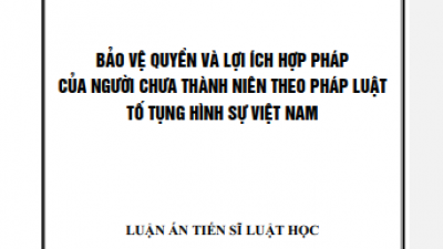 LUẬN ÁN TIẾN SĨ: BẢO VỆ QUYỀN VÀ LỢI ÍCH HỢP PHÁP CỦA NGƯỜI CHƯA THÀNH NIÊN THEO PHÁP LUẬT TỐ TỤNG HÌNH SỰ VIỆT NAM