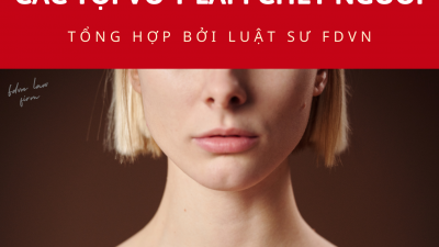 TỔNG HỢP 22 BẢN ÁN VỀ CÁC TỘI VÔ Ý LÀM CHẾT NGƯỜI