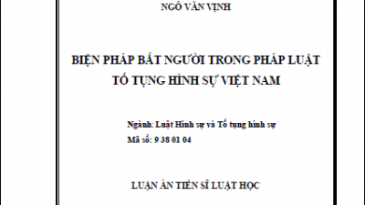LUẬN ÁN TIẾN SĨ: BIỆN PHÁP BẮT NGƯỜI TRONG PHÁP LUẬT TỐ TỤNG HÌNH SỰ VIỆT NAM (Tác giả: Ngô Văn Vịnh)